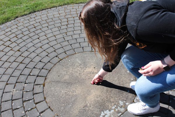 Ostereiersuche-1-web