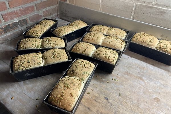 19078D3D-D7A7-4F0A-A5F7-357D33F23C9F_1_105_c