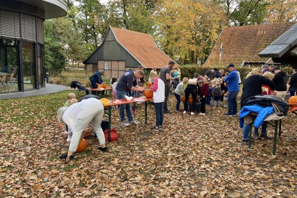 7A236C61-978B-4282-89ED-AC07F5ADF2B4_1_105_c