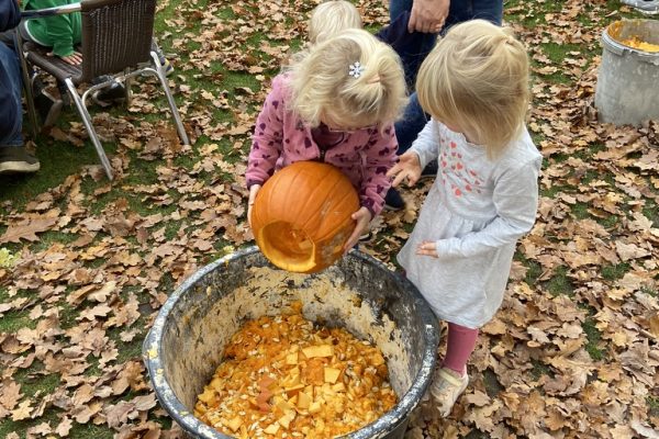 8C8C94D6-66F5-42C8-92CC-17C9D708D12A_1_105_c