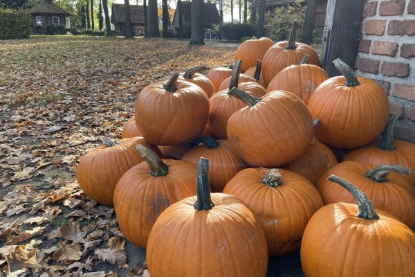 C9475A3D-1EE5-4A46-A650-8B55D791250D_1_105_c