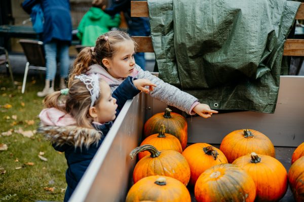 Kolping-Kuerbisse-schnitzen-49