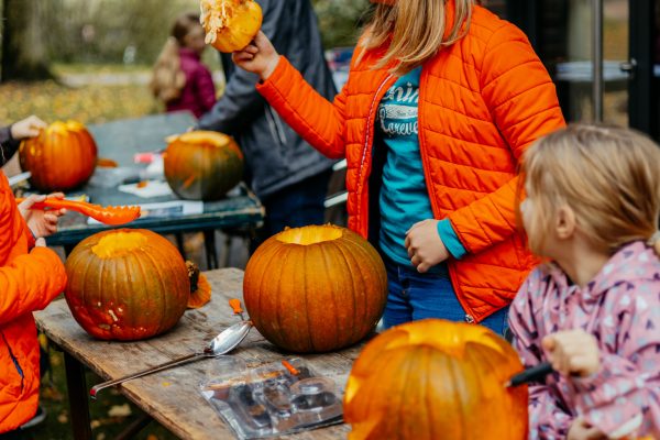 Kolping-Kuerbisse-schnitzen-73