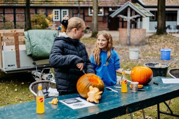 Kolping-Kuerbisse-schnitzen-74