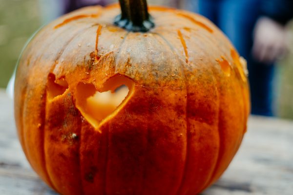 Kolping-Kuerbisse-schnitzen-82