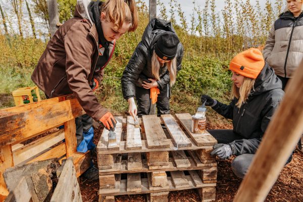 72-Stunden-Aktion-247