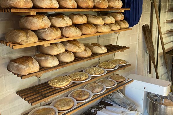 889d4279-9e83-4f4b-9e80-a68a70a12fd2