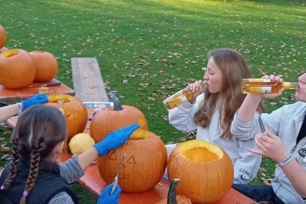 8e806dd1-4062-4593-ba33-62a892cff2d5