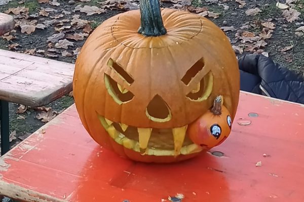 bbb8bb5a-7942-49cb-81ea-05839071a35f